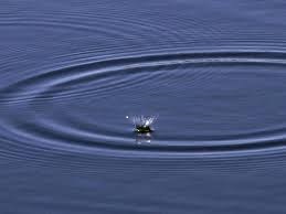 AGUA CONTAMINADA